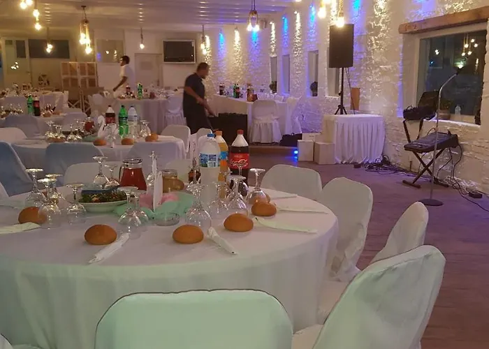 Golden Sun Στελίδα